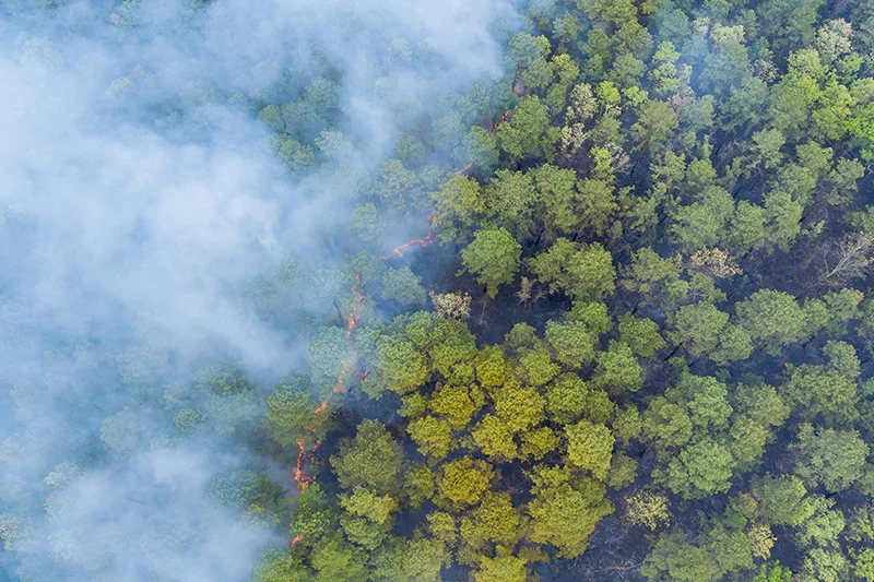 Aerial view of smoke and fire in a green forest